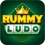 Rummy Ludo