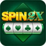 Spin 2x